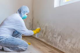 Best Forensic Mold Investigation  in Lakeside, MT